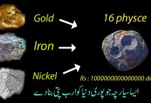 16 physce in urdu